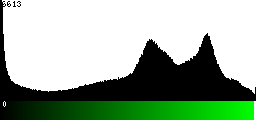Green Histogram