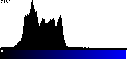 Blue Histogram