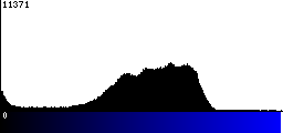 Blue Histogram