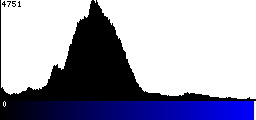 Blue Histogram