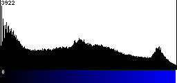 Blue Histogram