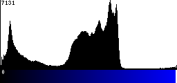 Blue Histogram