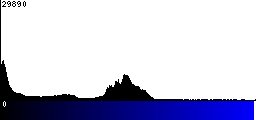 Blue Histogram