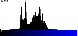 Blue Histogram