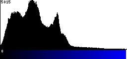 Blue Histogram