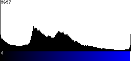 Blue Histogram