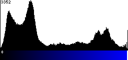 Blue Histogram