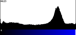 Blue Histogram