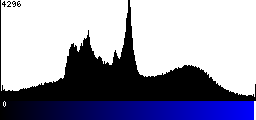 Blue Histogram