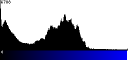 Blue Histogram