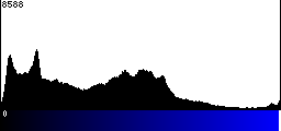 Blue Histogram