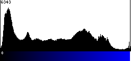 Blue Histogram