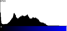 Blue Histogram