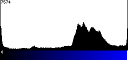 Blue Histogram