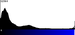 Blue Histogram