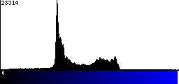 Blue Histogram