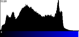 Blue Histogram