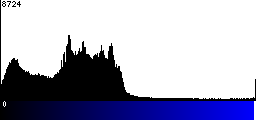 Blue Histogram