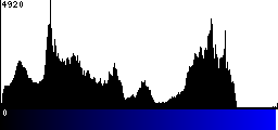 Blue Histogram