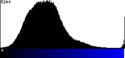 Blue Histogram