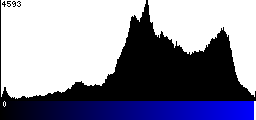 Blue Histogram