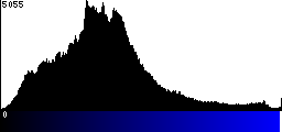 Blue Histogram