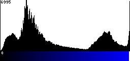 Blue Histogram