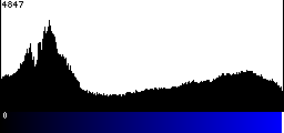 Blue Histogram