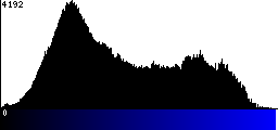Blue Histogram