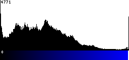 Blue Histogram