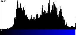 Blue Histogram