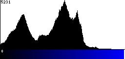 Blue Histogram