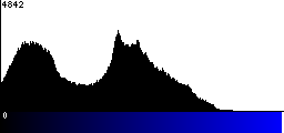 Blue Histogram