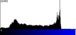 Blue Histogram