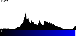 Blue Histogram