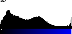 Blue Histogram