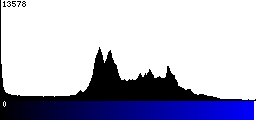 Blue Histogram