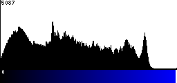 Blue Histogram