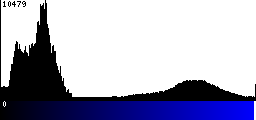 Blue Histogram