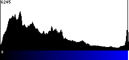 Blue Histogram