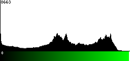 Green Histogram