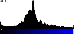 Blue Histogram