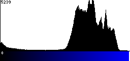 Blue Histogram