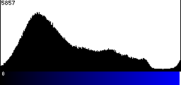 Blue Histogram