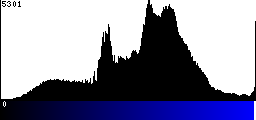 Blue Histogram