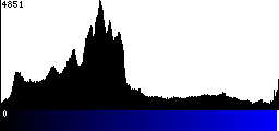 Blue Histogram