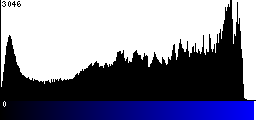 Blue Histogram