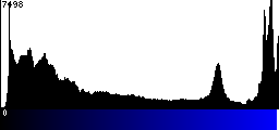 Blue Histogram