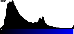 Blue Histogram