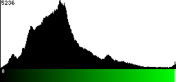 Green Histogram
